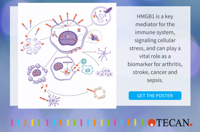 HMGB1 biomarker for cancer stroke sepsis