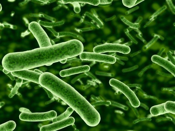 antibiotic-resistant-bacteria mass spectometry