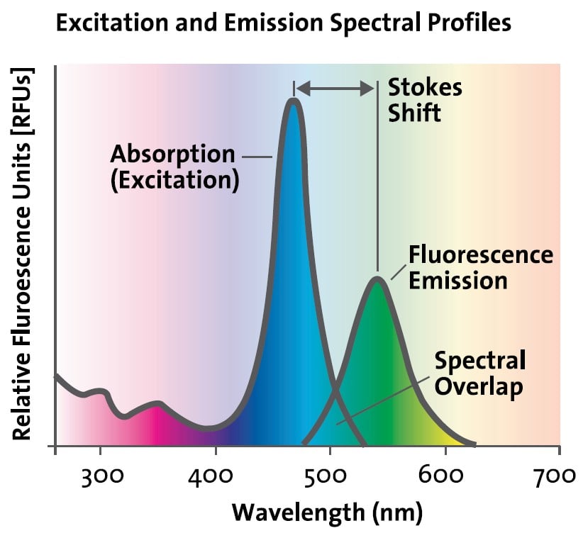 How to develop an optimal fluorescence assay 4823811390