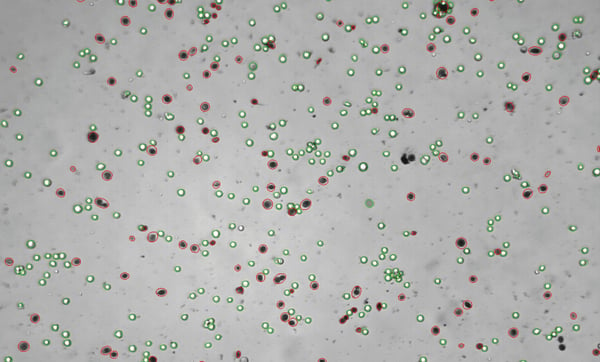 how to get accurate cell counts - microplate reader options