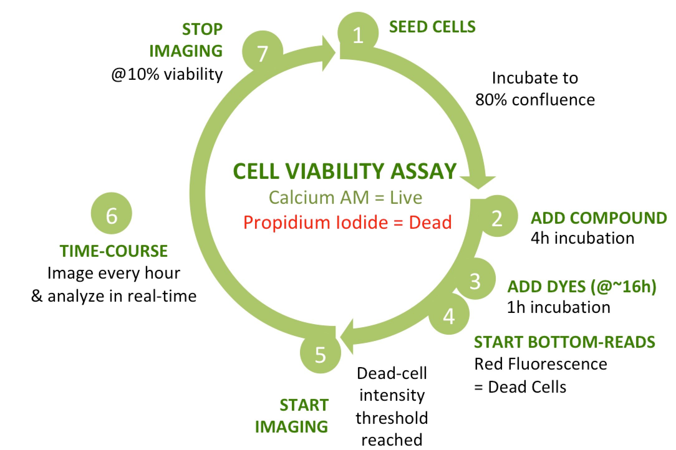 Live cell imaging: how to gain more control - The Blog - Tecan