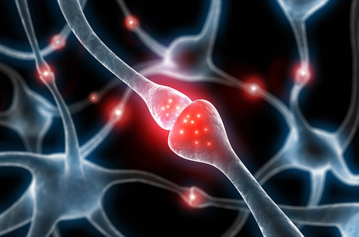 Myasthenia gravis causes muscle weakness when autoantibodies against acetylcholine or muscle-specific receptor tyrosine kinase block transmission of electrical signals from nerve endings to muscles.