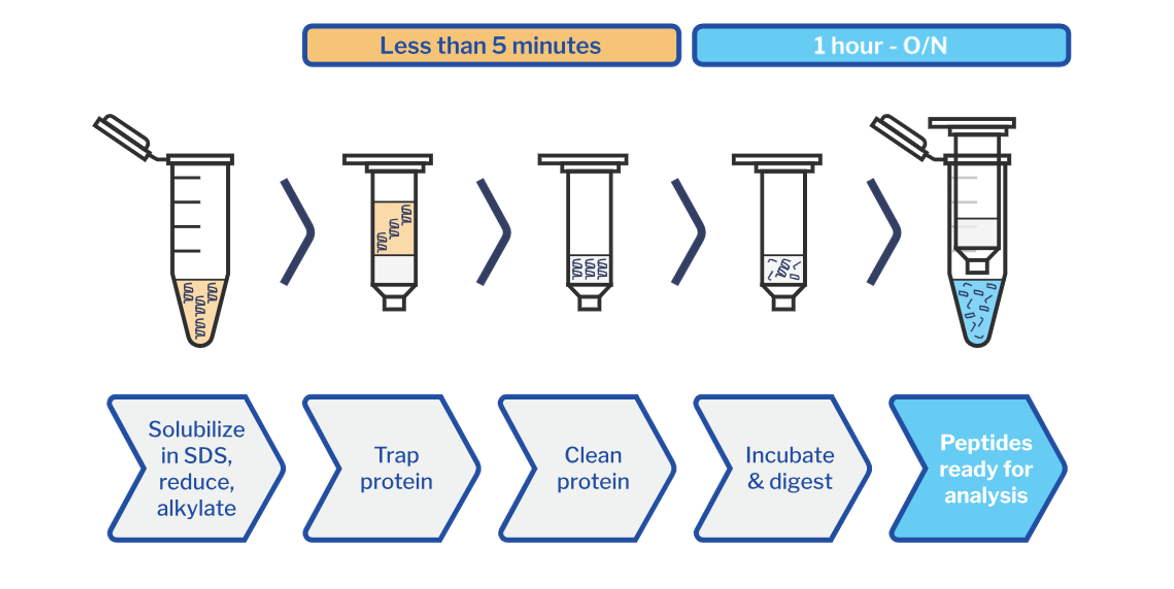 Fig 1 Protifi S-Trap protocol (1)