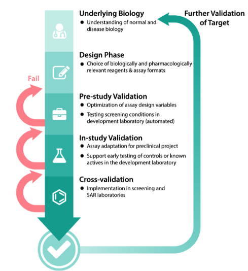 assay development and validation cycle