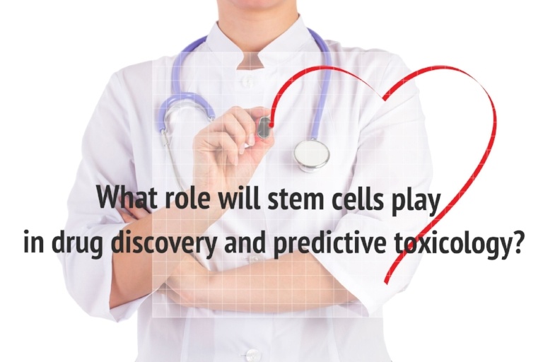 Stem cells play a role in drug discovery and predictive toxicology.