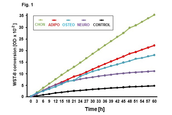 Real-time analysis of viable stem cell differentiation by measurement of WST-8 conversion.  (Ref App Note: Real-time analysis of stem cell proliferation during differentiation)