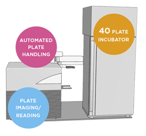 Spark Cyto Motion higher throughput