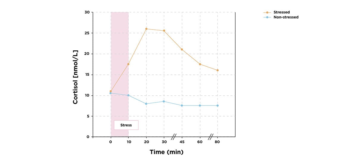 Saliva_general-information_Cortisol-response-to-stress_v1_1138x557