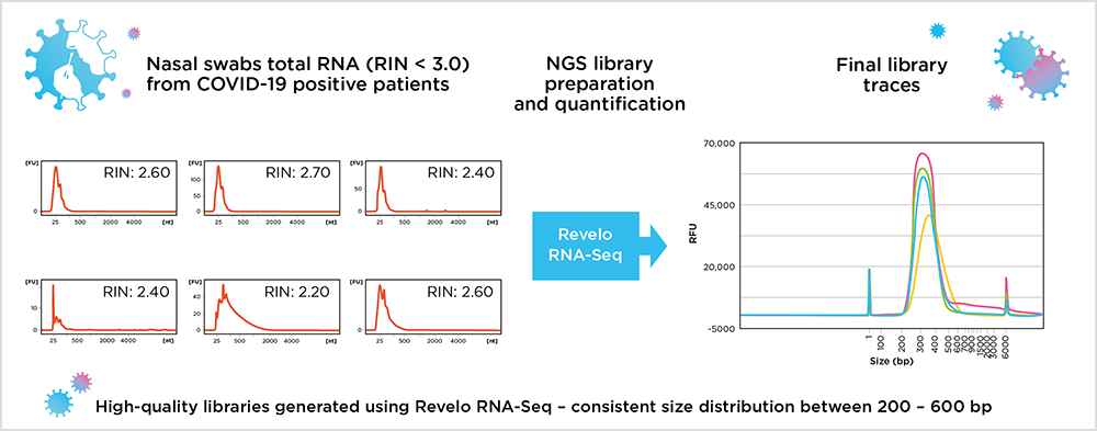 Revelo™ RNA-Seq High Sensitivity library preparation kit - Tecan Genomics