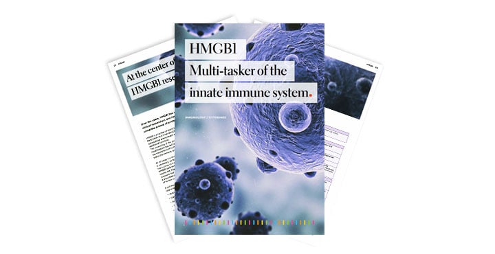 Free Download - Poster and Flyer