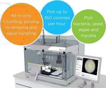 Colony picking for QC applications