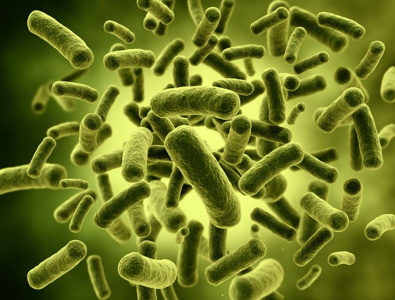 Metagenomic studies link microbiomes to disease states