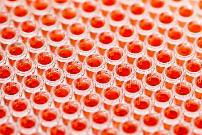 Phenotypic screening and target based screening for precision medicine