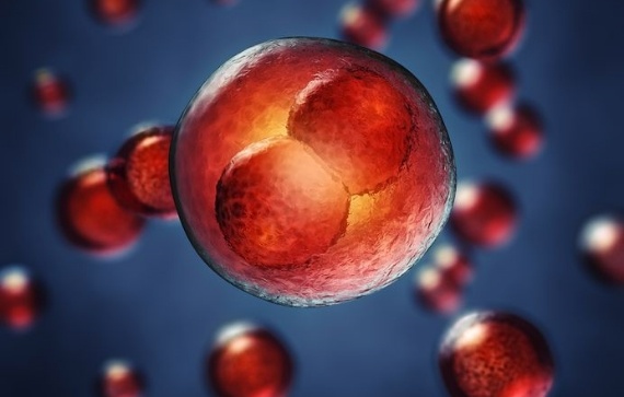 epigenetics gene therapy research epigenetics gene therapy research