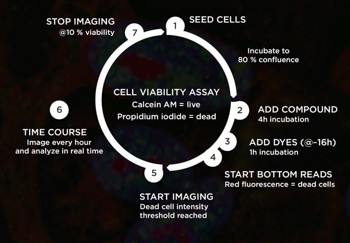 Live cell imaging: how to gain more control