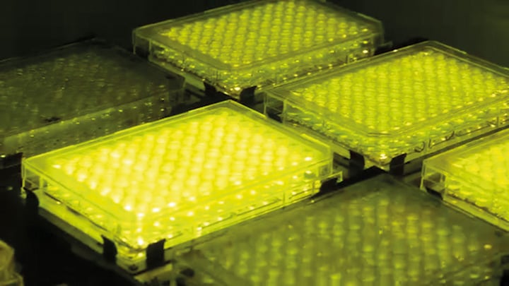 17_algae_a_novel_solution_012021_image_2
