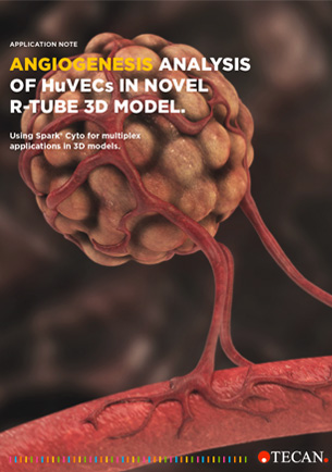 Angiogenesis analysis of HuVECs in novel r-Tube 3D model