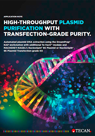 High-throughput plasmid purification with transfection-grade purity