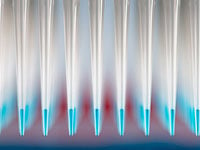 Tecan’s new MCA 384 Disposable Tips offer enhanced pipetting flexibility