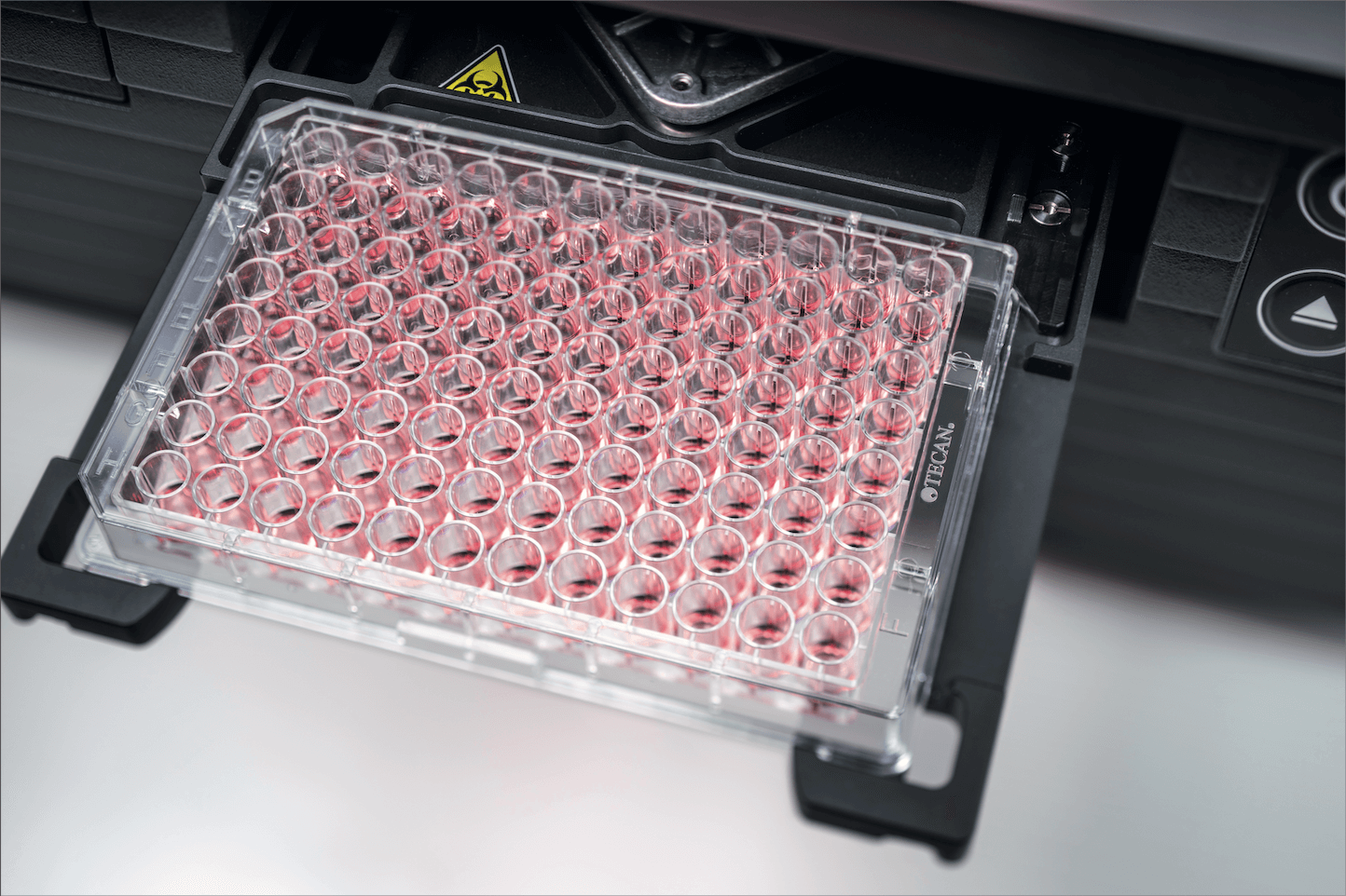 Targeted Protein Degradation: multiplexing PROTACs and molecular glues screening 114373722302