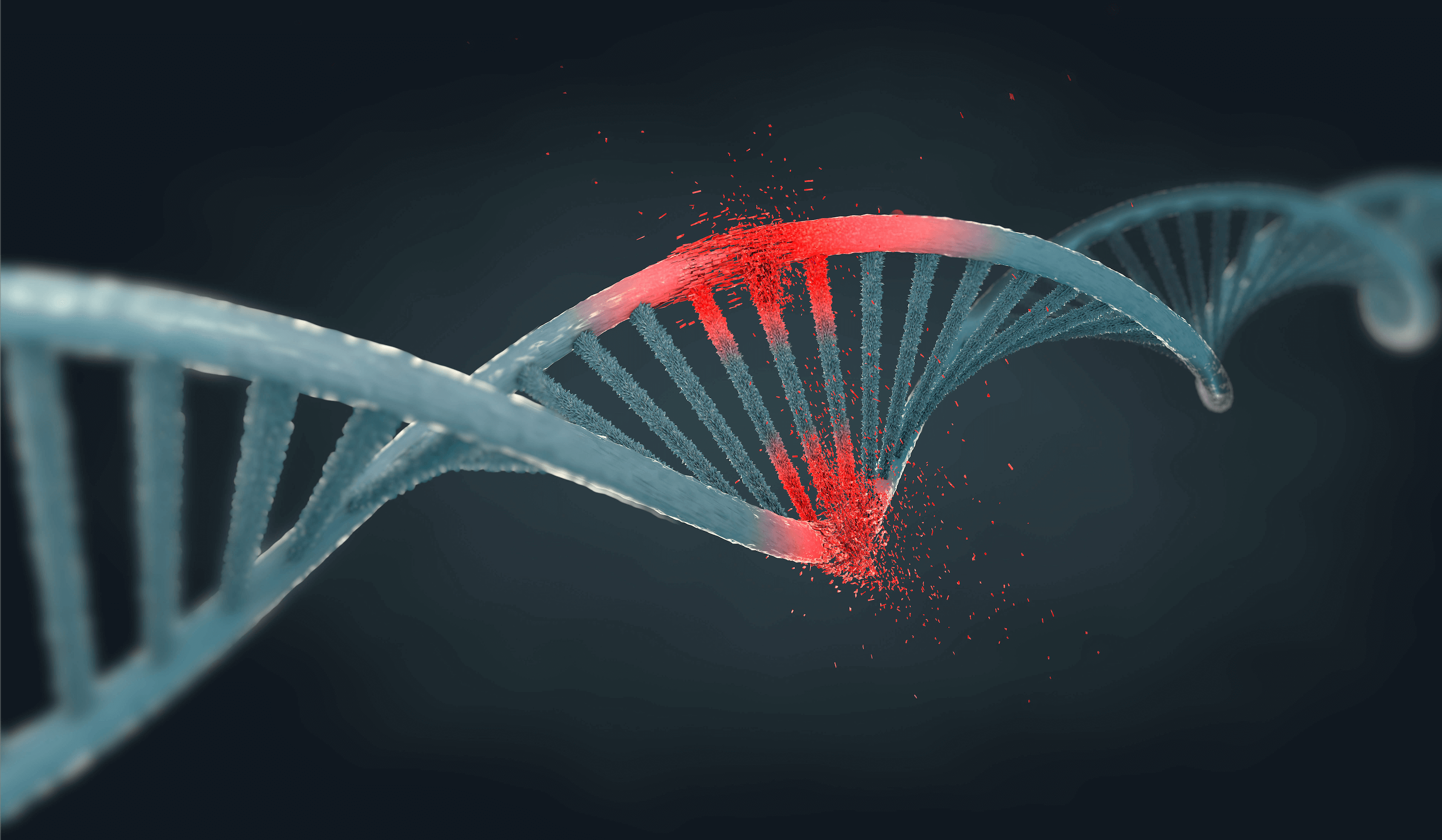 End-to-end Automation of Nanopore Sequencing 182369756373