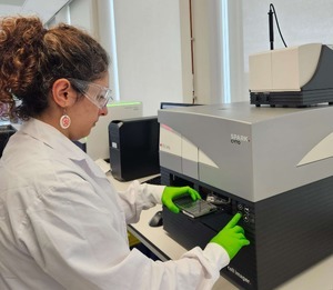 Improving organoid reproducibility through real-time imaging 286257085687