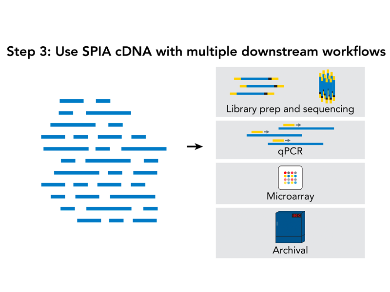 Revelo™ RNA-Seq High Sensitivity library preparation kit - Tecan Genomics