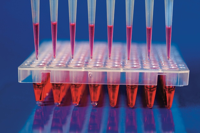 Molecular diagnostics – a closer look at sample to answer 5875656504