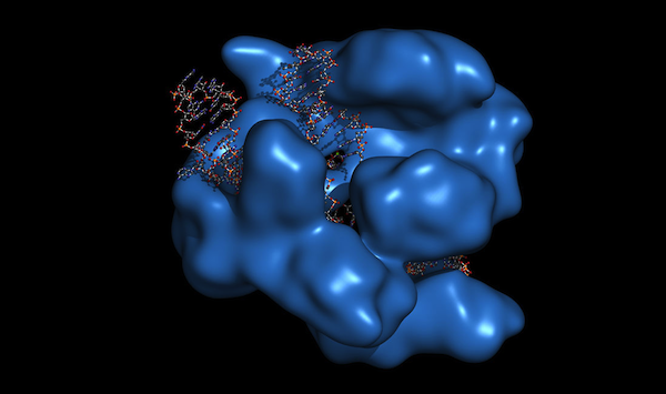 CRISPR: editing the drug discovery workflow 5390782619