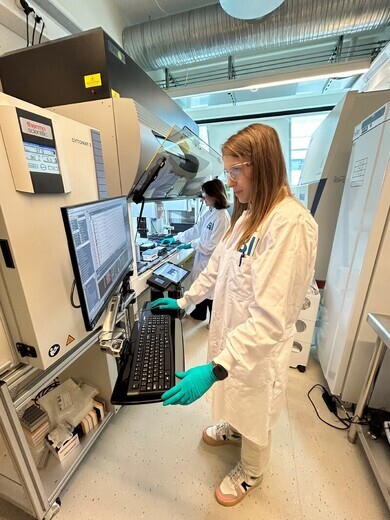 Advancing endometriosis research to improve outcomes for women worldwide 248612536559